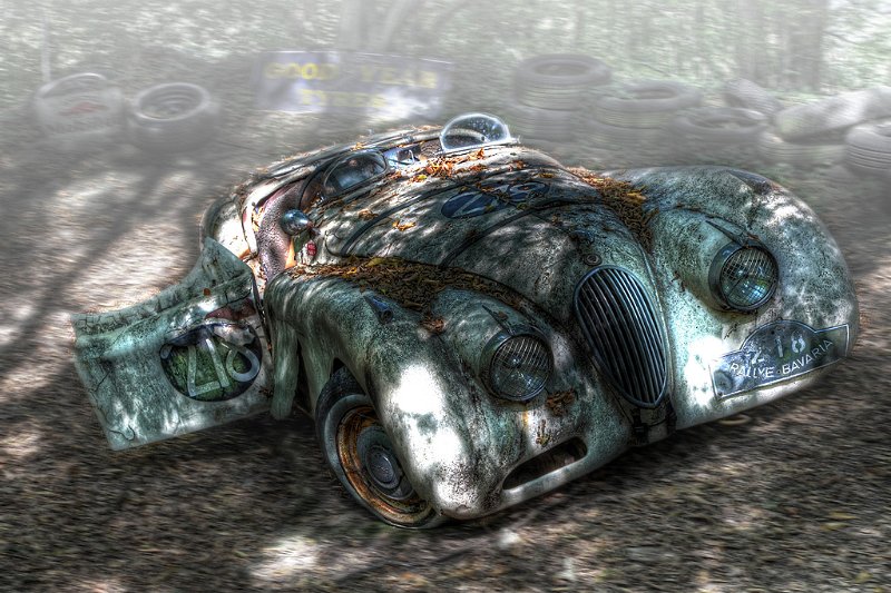 46 - jaguar with fog - BECKER Reinhard - germany.jpg